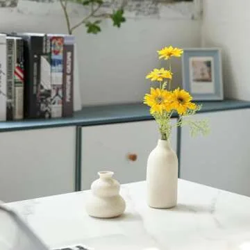 Modern Beige Ceramic Vase Set of 3 for Home Decor