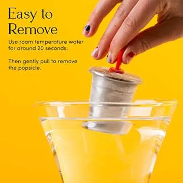 Stainless Steel Popsicle Maker - Kids Easy Molds Set