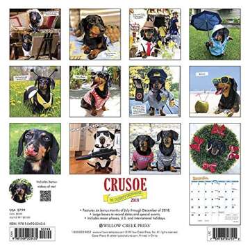 Crusoe the Celebrity Dachshund Mini 2019 Wall Calendar - Perfect for Dachshund Lovers