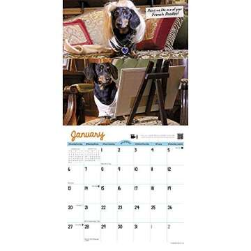Crusoe the Celebrity Dachshund Mini 2019 Wall Calendar
