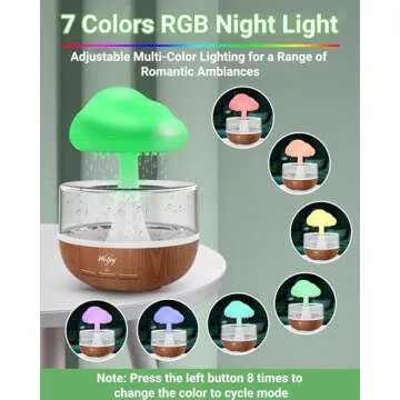 Weljoy Zen Raining Cloud Night Light & Essential Oil Diffuser