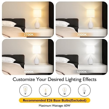 TUUANA 16.6in Ceramic Table Lamps Set of 2 for Home