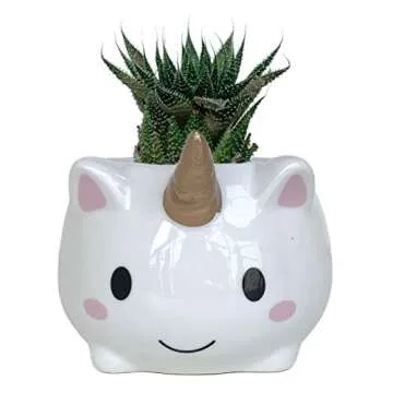 Cute Unicorn Planter for Succulents - Perfect Gift Idea