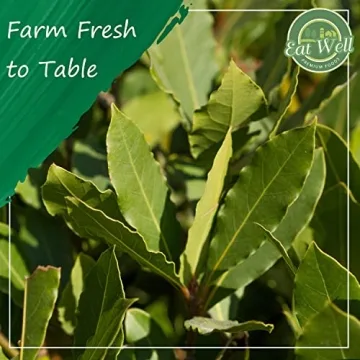 Eat Well Bulk Dried Bay Leaves 6 oz - Premium Quality