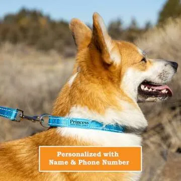 PAWBLEFY Personalized Dog Collars - Reflective Nylon Collar Customized with Name and Phone Number Ad...