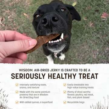 Earth Animal Wisdom Air-Dried Jerky Chicken Recipe | Dog Treats | Premium Natural Snacks - 4 oz