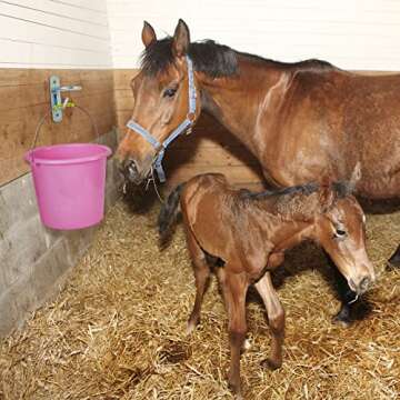 Dunzy 6 Pcs Bucket Hooks for Horses Metal Equestrian Water Bucket Hook Hangers Horse Stalls Feed Barn Farmhouse Supplies(Silver)