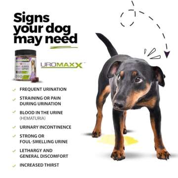 UroMAXX Natural Pet Care Chews for Dogs - UTI Support