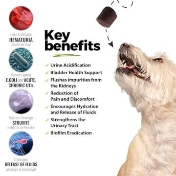 UroMAXX Natural Pet Care Chews for Dogs - UTI Support