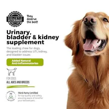 UroMAXX Natural Pet Care Chews for Dogs - UTI Support