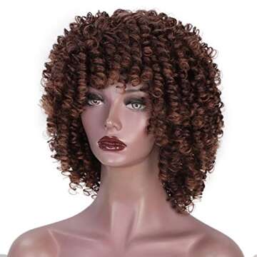 AISI HAIR Afro Wig for Black Women - Ombre Curly Style