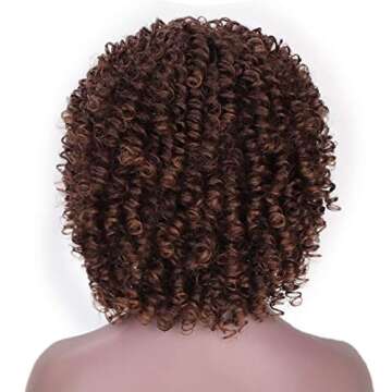 AISI HAIR Afro Wig for Black Women - Ombre Curly Style