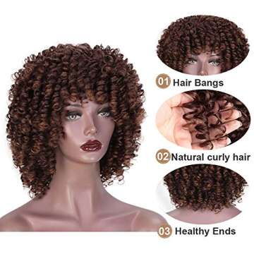 AISI HAIR Afro Wig for Black Women - Ombre Curly Style