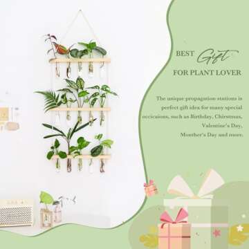 Mkono Plant Propagation Mini Test Tubes, 3 Tiered Wall Hanging Plant Terrarium with Wooden Stand Flower Vase Glass Planter for Hydroponic Plant Cutting Home Garden Office Decor Plant Lover Gift