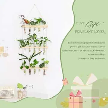 Mkono Plant Propagation Mini Test Tubes, 3 Tiered Wall Hanging Plant Terrarium with Wooden Stand Flower Vase Glass Planter for Hydroponic Plant Cutting Home Garden Office Decor Plant Lover Gift
