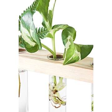 Mkono Plant Propagation Mini Test Tubes, 3 Tiered Wall Hanging Plant Terrarium with Wooden Stand Flower Vase Glass Planter for Hydroponic Plant Cutting Home Garden Office Decor Plant Lover Gift