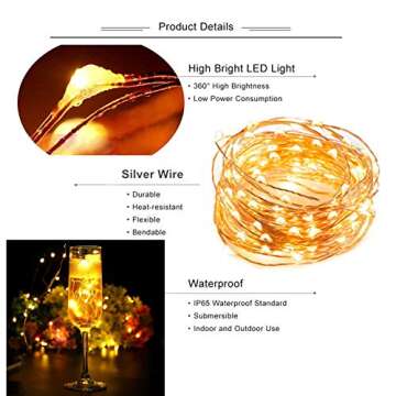 100 White LED Lights String Plug-in 12V Waterproof for Indoor/Outdoor Patio, Party, Home, Wedding Decoration (33ft, with Remote Control and Power Adapter) (Warm White)