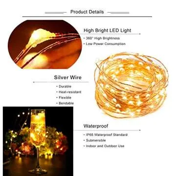 100 White LED Lights String Plug-in 12V Waterproof for Indoor/Outdoor Patio, Party, Home, Wedding Decoration (33ft, with Remote Control and Power Adapter) (Warm White)