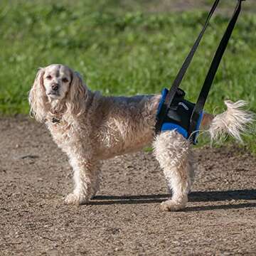 Walkabout Back End Harness for Pets - Mobility Support Aid