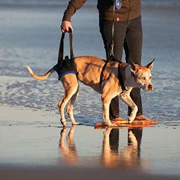 Walkabout Back End Harness for Pets - Mobility Support Aid