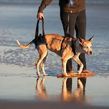 Walkabout Back End Harness for Pets - Mobility Support Aid