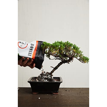 Premium Bonsai Soil Mix – Ready to Use & Versatile