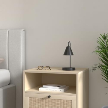 Aimoptg Candle Warmer Lamp with Dimmable Light