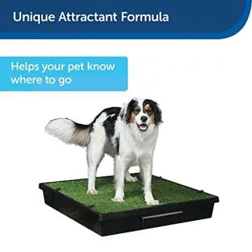 Potty Train Dogs with PetSafe Skip to My Loo Attractant