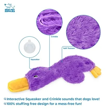 Best Pet Supplies Crinkle Dog Toy for Dogs of All Sizes