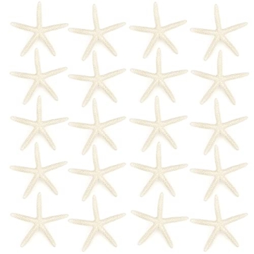 Jangostor 20 PCS Starfish, 2.5" to 4" Natural Seashells Starfish Star Fish Shells Decorations White ...