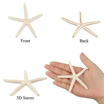 Jangostor 20 PCS Starfish | Natural Seashells for Decor