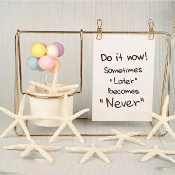 Jangostor 20 PCS Starfish | Natural Seashells for Decor