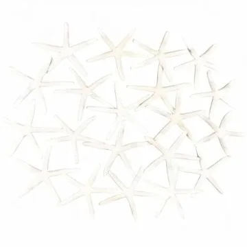 Jangostor 20 PCS Starfish | Natural Seashells for Decor