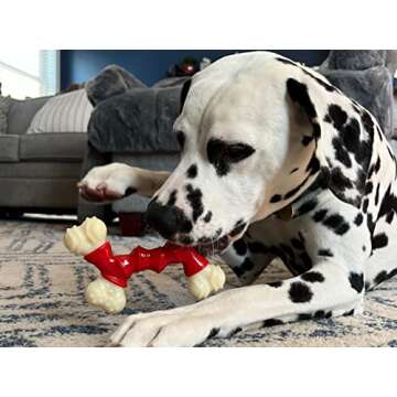 Nylabone Double Bone Power Chew Toy for Dogs, Dog Toys for Aggressive Chewers, Bacon Flavor, Medium ...