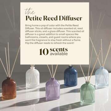 Paddywax Candles Petite Collection, Reed Diffuser for Home Use, Rose - Grapefruit