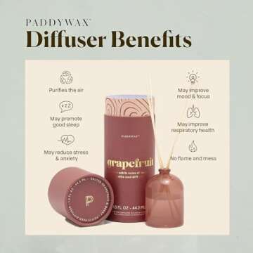 Paddywax Candles Petite Collection, Reed Diffuser for Home Use, Rose - Grapefruit
