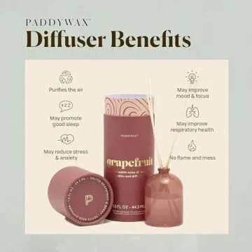 Paddywax Candles Petite Collection, Reed Diffuser for Home Use, Rose - Grapefruit