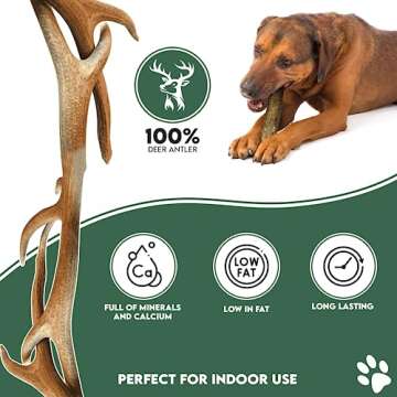 100% Natural Split Antler Dog Chews - Healthy and Sustainable Chew Treat