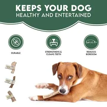 Natural Split Antler Chews for Dogs | Healthy Treats
