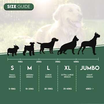 Natural Split Antler Chews for Dogs | Healthy Treats