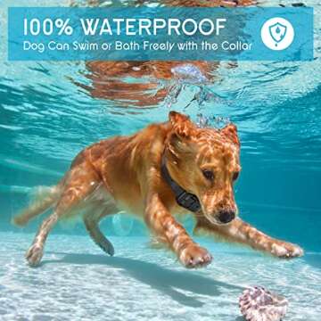 Moer Sky Dog Training Collar, 100% IPX7 Waterproof Rechargeable 875 Yards Remote Dog Shock Collar with LED Light/Beep/Vibration/Shock Modes, Dog Bark Collar for Small Medium Large Dogs