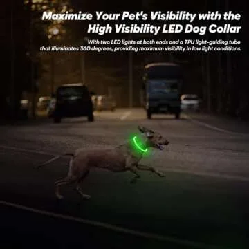 BSEEN Light Up Dog Collar, Rechargeable LED Pet Collar TPU Cuttable Lighted Puppy Necklace Glowing Dog Lights for Night Walking (Green)