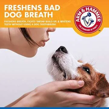 Arm & Hammer Dental Spray for Fresh Breath and Teeth Care