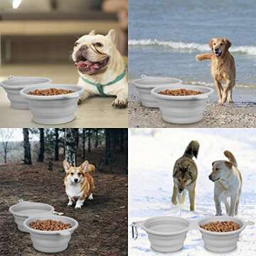 LumoLeaf Collapsible Dog Bowl, Large, BPA Free Silicone, Adjustable Size, 40 oz Capacity, Easy to Clean, Foldable, Portable, Ideal for Travel, Hiking, Crate Training