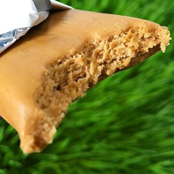 Julian Bakery Pegan Thin Protein Bar | Sweet Sunflower Butter | 20g Protein | 2 Net Carbs | Vegan | 12 Bars