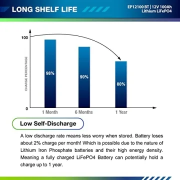 ExpertPower 12V 100Ah Lithium Battery for RV and Solar Uses
