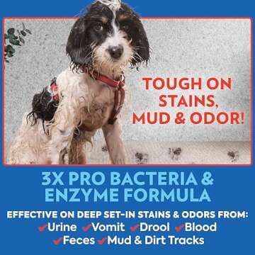 OUT! PetCare Advanced Stain and Odor Remover- Pro-Bacteria and Enzyme Formula for Tough Stains and Odor- 32 oz (Pack of 2)