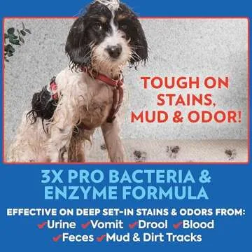 OUT! PetCare Advanced Stain and Odor Remover- Pro-Bacteria and Enzyme Formula for Tough Stains and Odor- 32 oz (Pack of 2)