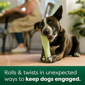 Earth Rated Dog Toy, Enrichment Toys for Adult and Puppy Dogs, Dishwasher and Freezer-Safe, Natural Rubber, Small, Green