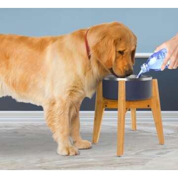 Dog Bowl Stand (12-inch high) - Ideal for Medium to Large Breeds - Adjustable Width, Slanted Feet, Elevates Food Bowls and Slow Feeders - Raises Water Fountains and Dispensers - Bamboo Stand Only
